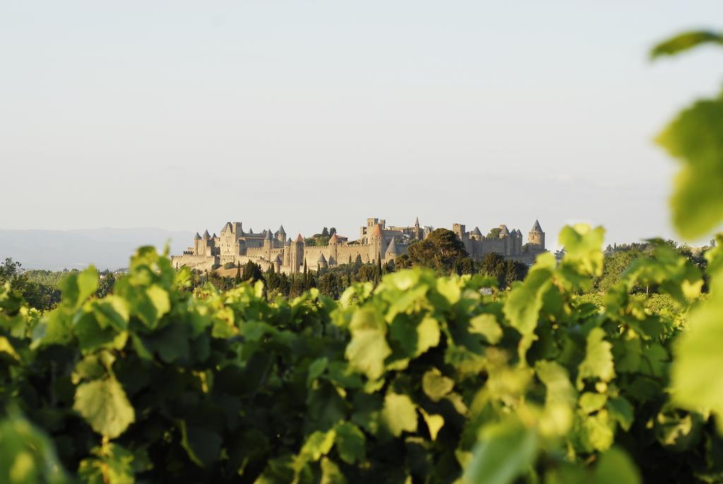 La Maison D'Alix, A L'Interieur De La Cite Medievale! Carcassonne Pokoj fotografie
